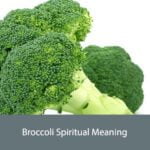 Broccoli Spiritual Meaning