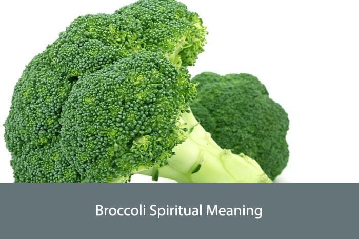 Broccoli Spiritual Meaning
