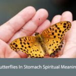 Butterflies In Stomach Spiritual Meaning