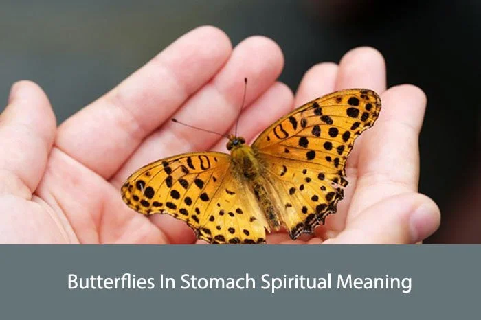 Butterflies In Stomach Spiritual Meaning