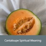 Cantaloupe Spiritual Meaning