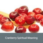 Cranberry Spiritual Meaning