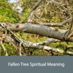 Fallen Tree Spiritual Meaning