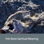 Fish Bone Spiritual Meaning