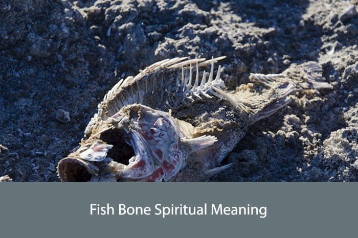 Fish Bone Spiritual Meaning