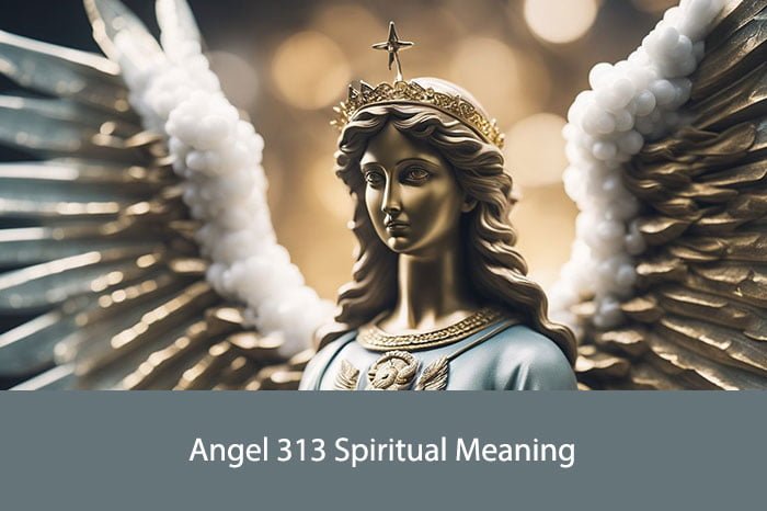 Angel 313 Spiritual Meaning
